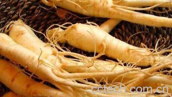 吃什么可以增强抵抗力 能增强免疫力食物推荐-1