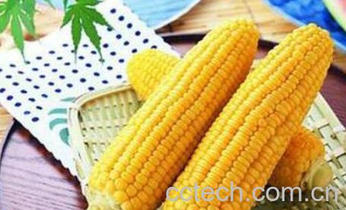 吃玉米的好处和坏处 玉米的功效和作用-1