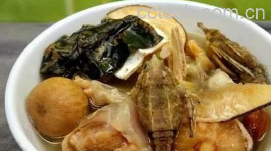 海麻雀煲汤的功效与作用-0