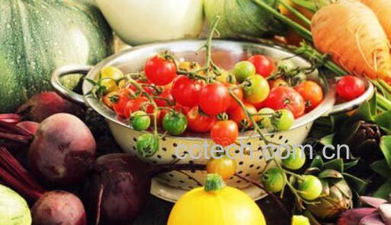 吃素的好处和坏处 吃素能长寿吗-1