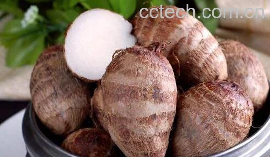 吃芋头有什么好处和坏处-0