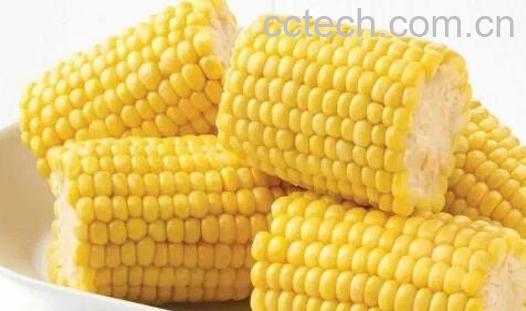 吃玉米会发胖吗 吃玉米的功效作用-1