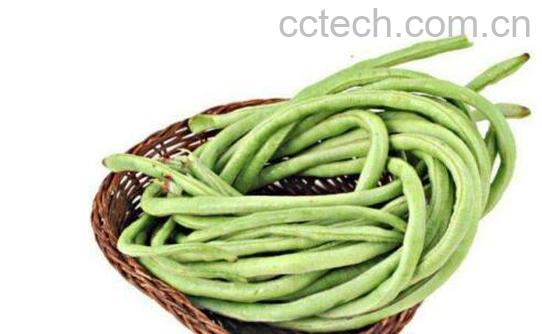 吃长豇豆的好处与坏处都有哪些-0