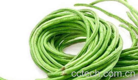 吃长豇豆的好处与坏处都有哪些-1