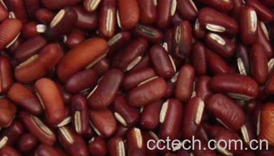 赤小豆的功效与作用 赤小豆的营养价值-1