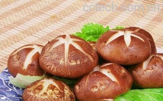 吃香菇的好处和坏处 香菇吃多了有什么危害-0