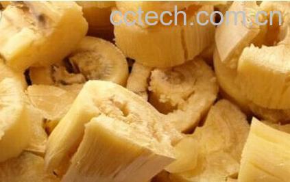 果蔬百科木薯-0