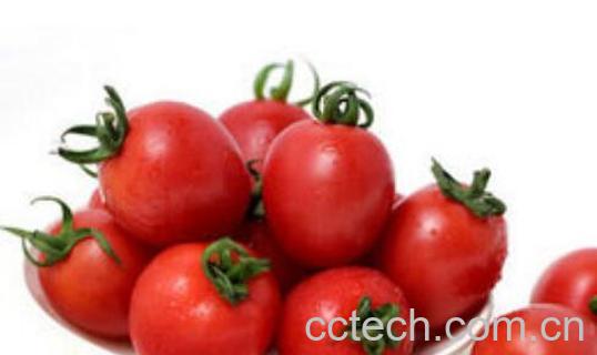 吃小番茄可以有哪些好处与坏处-0
