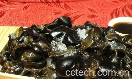 吃石耳的禁忌-1