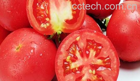 吃西红柿的好处和坏处 吃西红柿的禁忌-1
