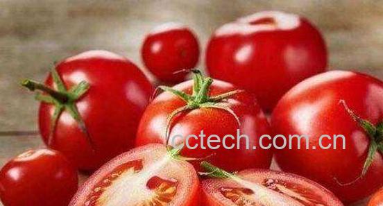 吃西红柿的好处和坏处 西红柿的食疗作用-1