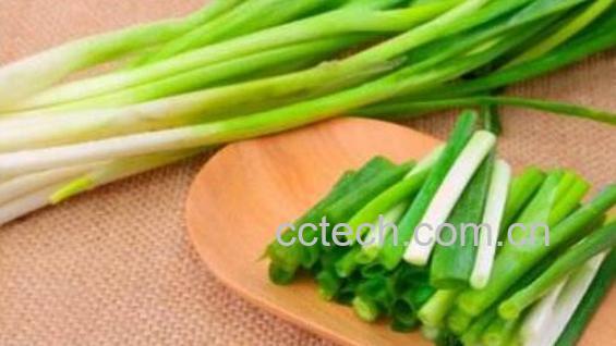 小葱的功效与作用 吃小葱的好处以及适合人群-0