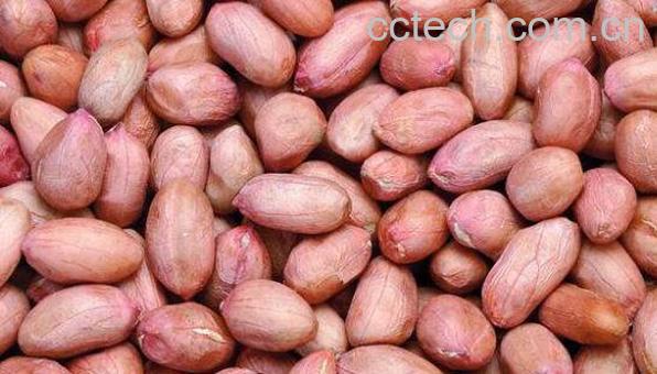 吃生花生的好处和坏处-0