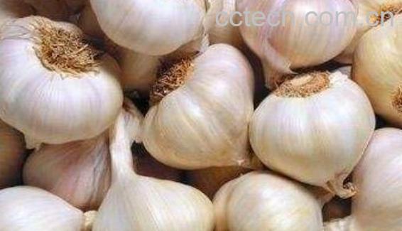 吃生蒜有什么好处 吃生蒜的功效与作用-1