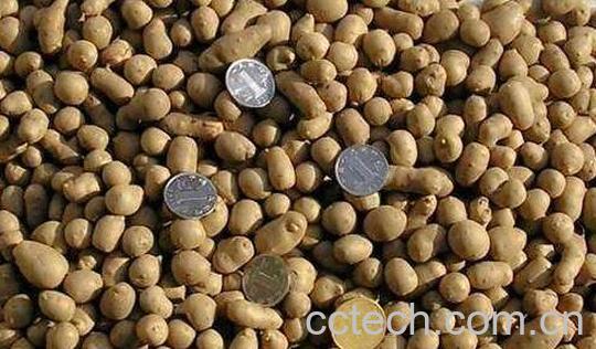 吃山药豆的好处和坏处 山药豆的营养价值-1