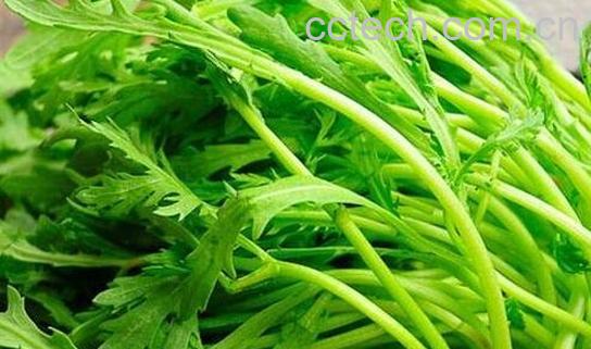 为什么男性要少吃茼蒿-0