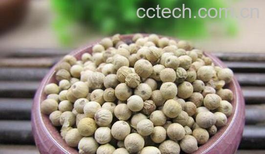 女人吃白胡椒的作用-1