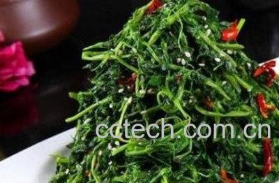 蒲公英生吃有什么功效-0