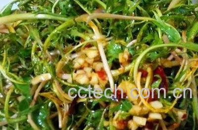  婆婆丁菜怎么做好吃 婆婆丁菜吃法大全-0