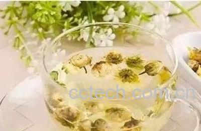 蒲公英菊花茶的副作用与禁忌-0