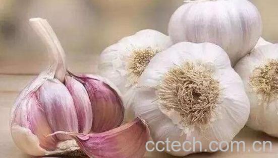 吃生蒜头的好处和坏处-1