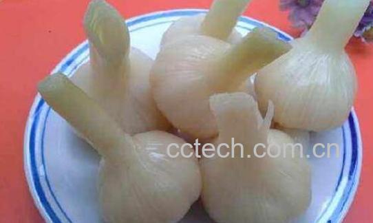 糖蒜的功效与作用 吃糖蒜的好处有哪些-1