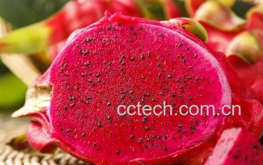 吃什么水果能长高 吃什么容易长高-0