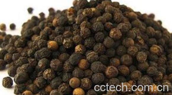 黑胡椒对女人害处 女人吃黑胡椒的好处-1