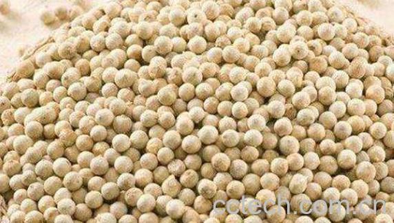 长期吃胡椒有什么好处-0