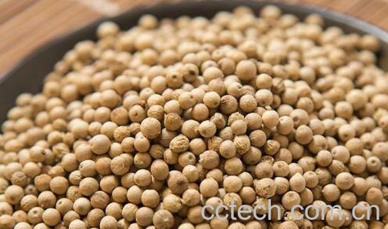 长期吃胡椒有什么好处-1