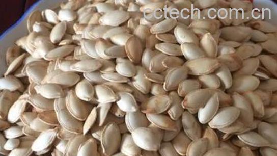 吃南瓜子的好处有哪些-1