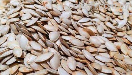 吃南瓜子的好处有哪些-0