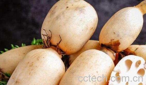 吃藕的作用和功效 吃藕的注意事项-1