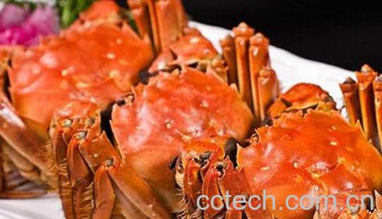 吃螃蟹过敏怎么办 吃螃蟹的禁忌-0