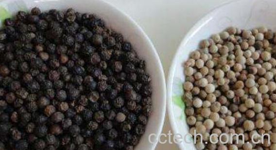 白胡椒与黑胡椒功效区别 白胡椒和黑胡椒有什么不同-0
