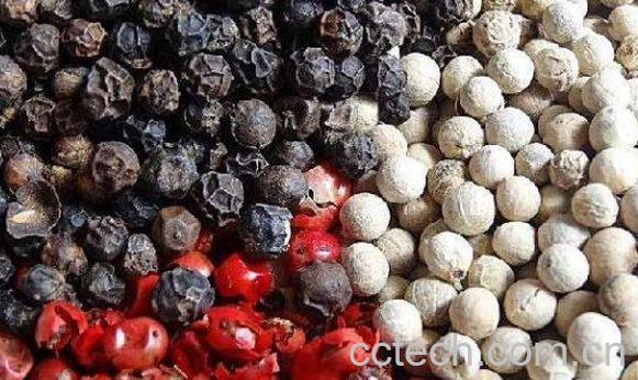白胡椒与黑胡椒功效区别 白胡椒和黑胡椒有什么不同-1