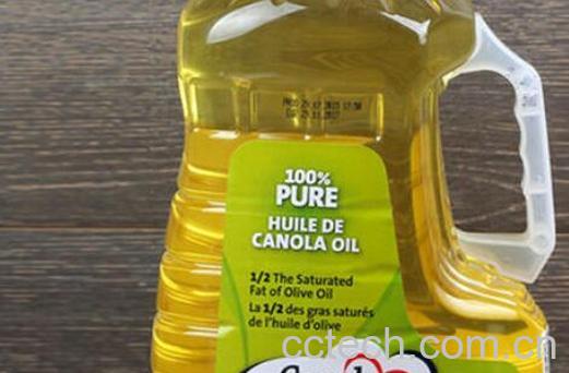 芥花菜籽油的功效与作用-1