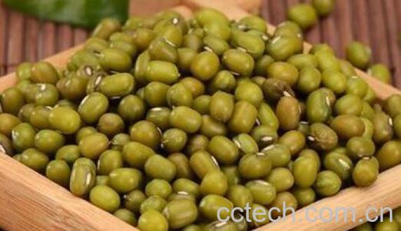 吃绿豆的好处和坏处 绿豆的营养价值-0