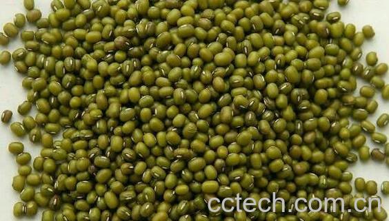 吃绿豆的好处和坏处 绿豆的营养价值-1