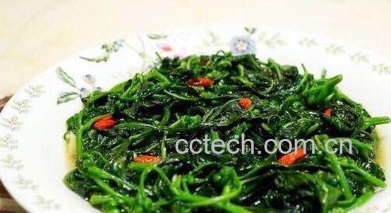 吃辣椒叶的好处和坏处-1