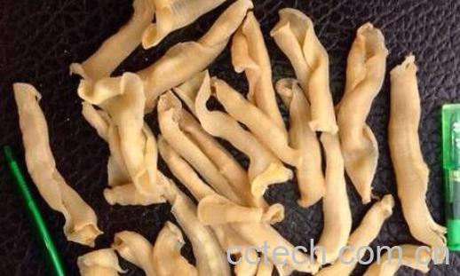 红鱼肚的功效和作用 红鱼肚怎么吃-1