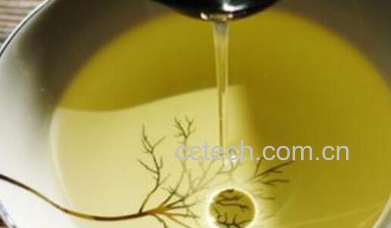 茶油的功效与作用 茶油怎么吃好-0