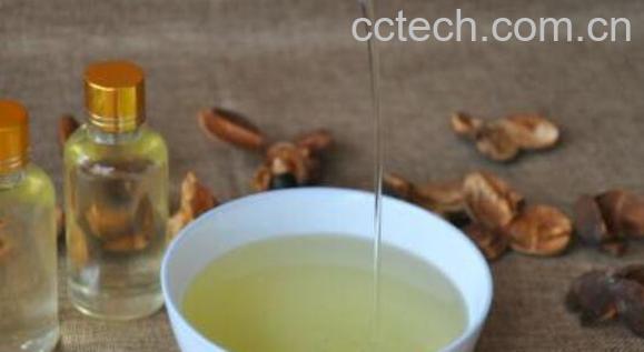 茶油的功效与作用 茶油怎么吃好-1