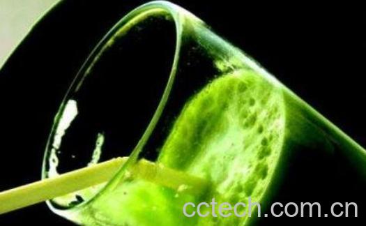 麦草汁主要功效与作用-1