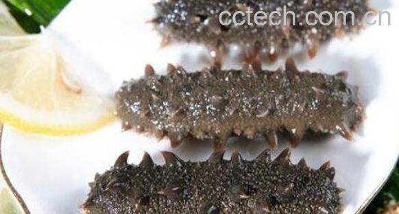 腰参和刺参的区别 吃腰参的好处-0