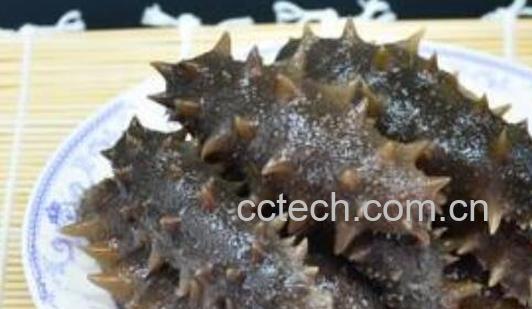 腰参和刺参的区别 吃腰参的好处-1