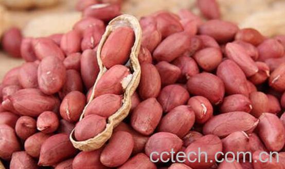 吃花生的好处和坏处 花生的食疗作用-0