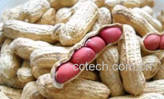 吃花生的好处和坏处 花生的食疗作用-1