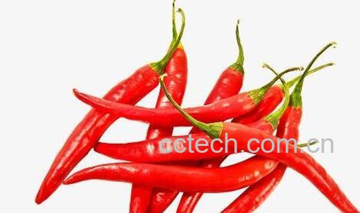 女人经常吃辣椒的好处 女人经常吃辣椒的危害-0