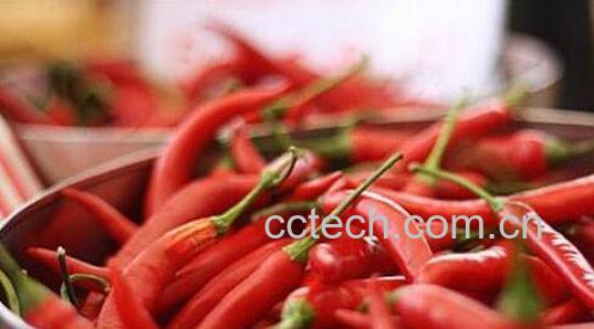 女人经常吃辣椒的好处 女人经常吃辣椒的危害-1